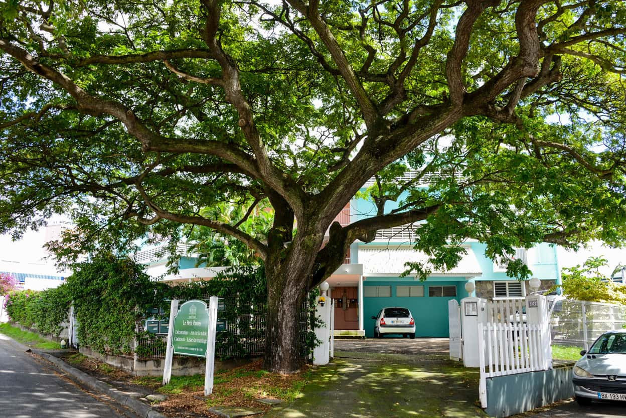 Le ZAMANA F3 location Martinique appartement Fort de France