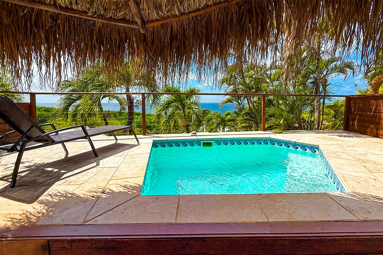 VUE TURQUOISE PARASOL Location Tartane Martinique vue mer Surf