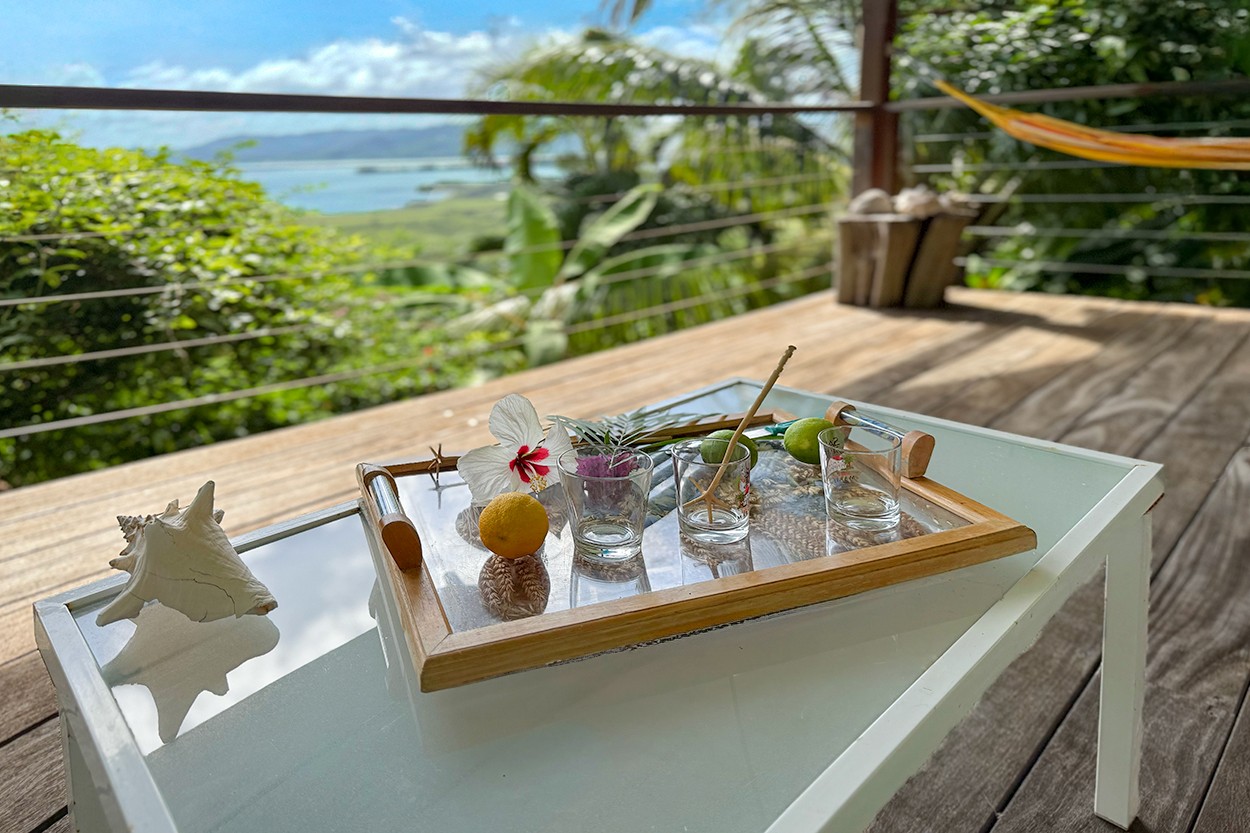 BOIS EXOTIQUE 2 belle vue sur la mer Location piscine Le Robert Martinique