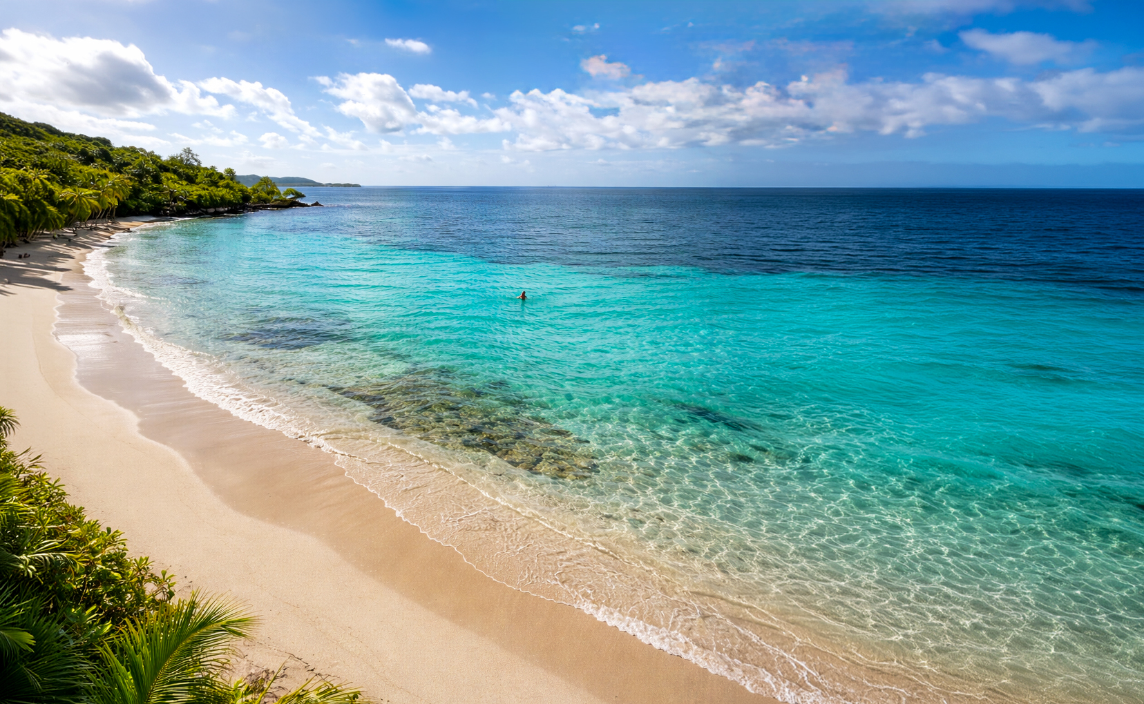 Anse Figuier en Martinique