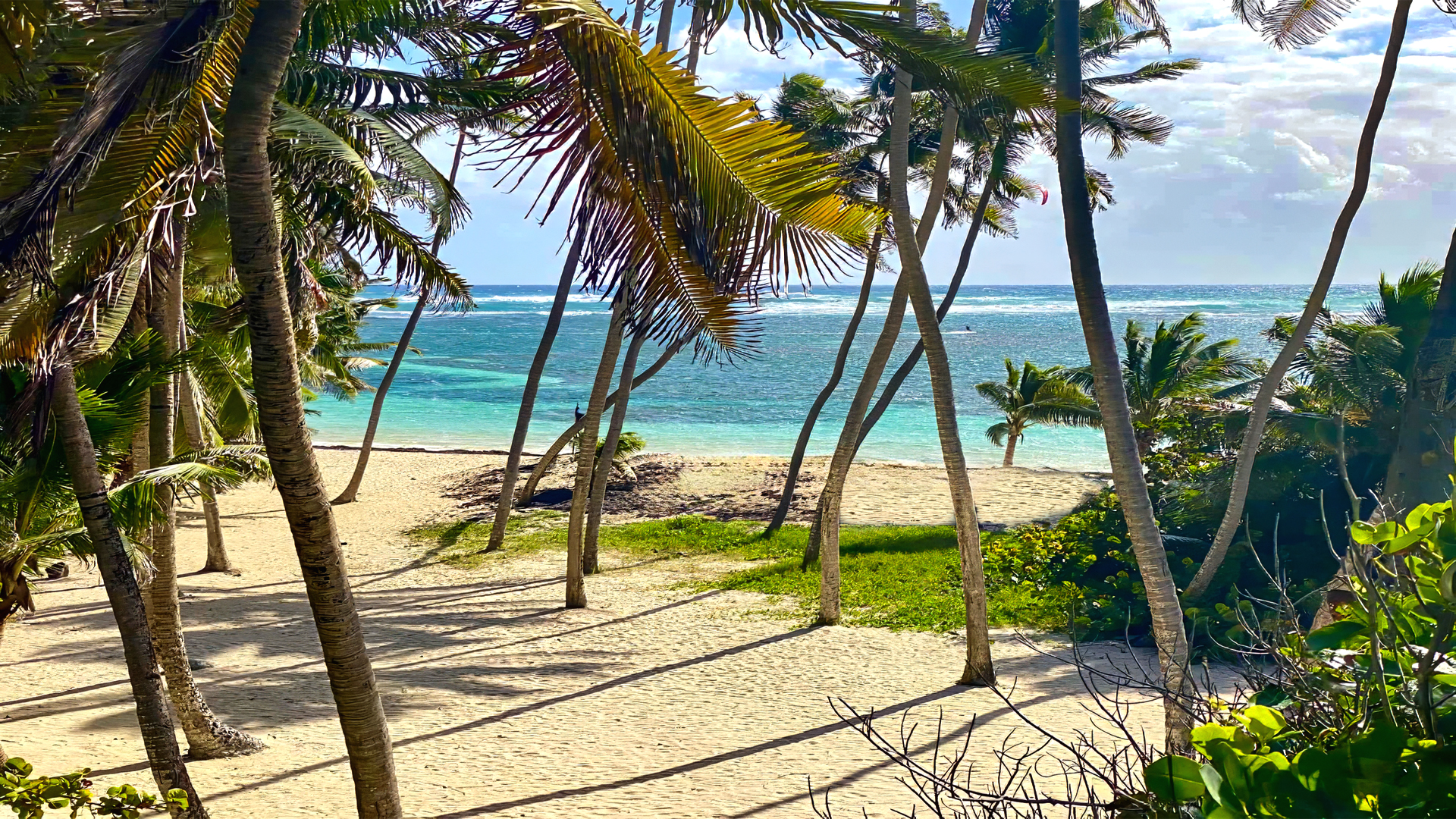 Les plus belles plages de Martinique